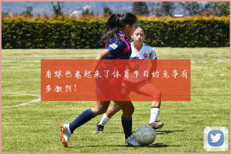 看球也卷起来了体育节目的竞争有多激烈！